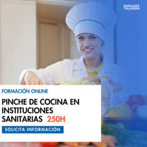 PINCHE DE COCINA EN INSTITUCIONES SANITARIAS 180h