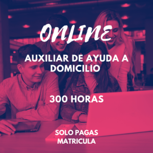 AUXILIAR AYUDA A DOMICILIO 300H