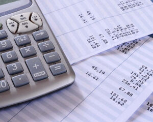 "Técnico Profesional en Nominaplus Flex"