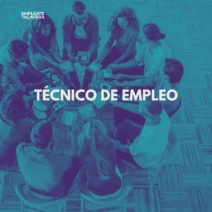 Técnico Empleo